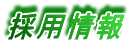 ̗p 